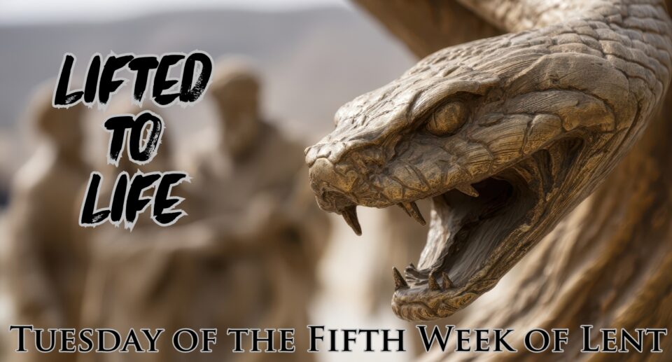Lifted Up: When Poison Becomes Medicine | Daily Readings | April 8, 2025